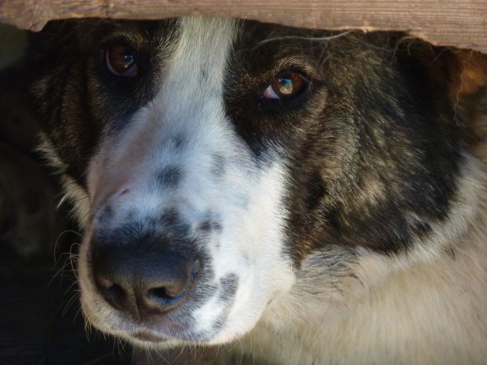 Photo #5782583