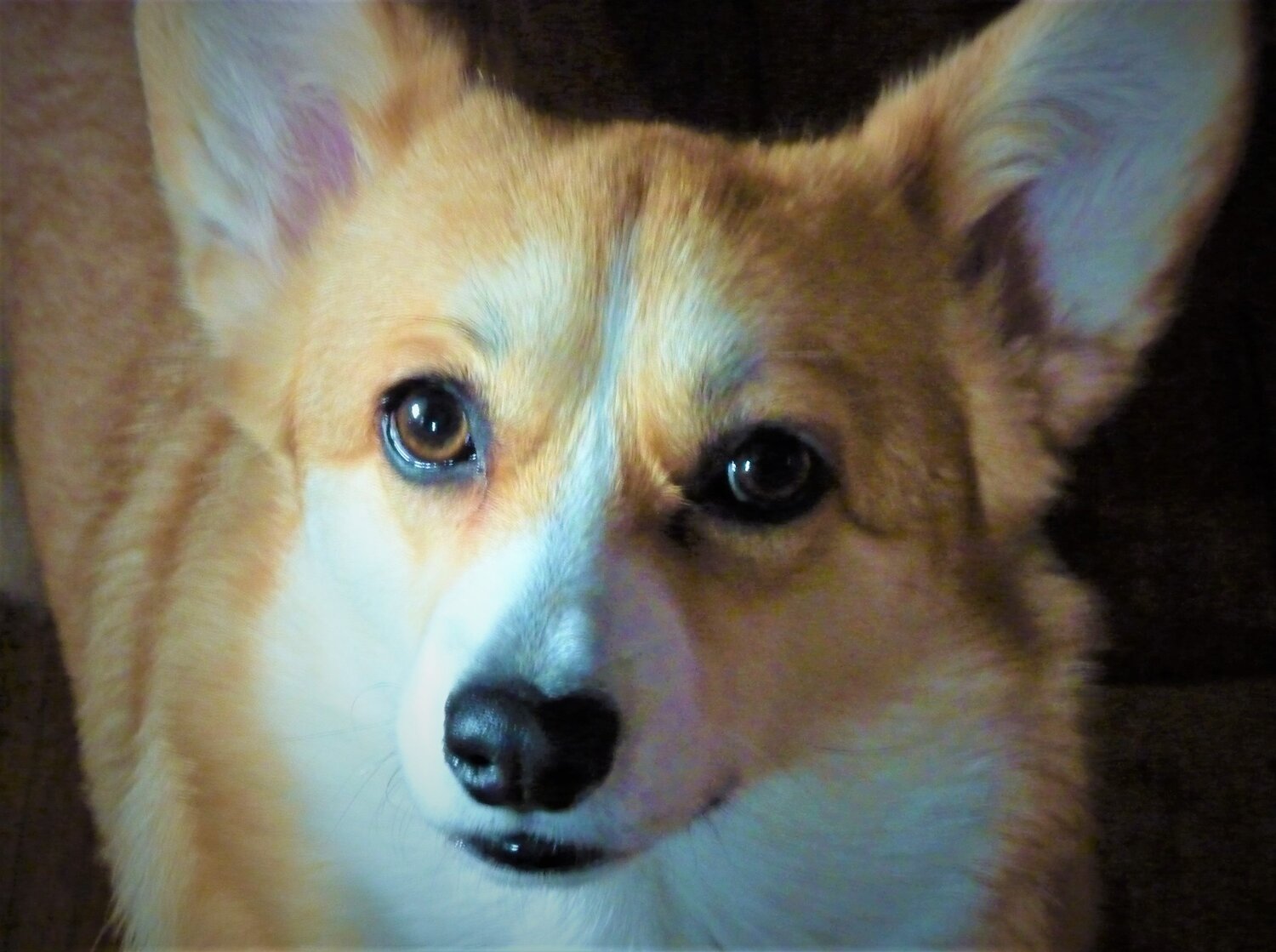 Photo #5782588