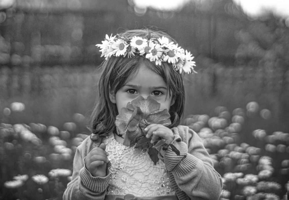 Photograph by Daniel Shvangiradze