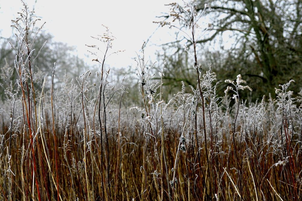 Photograph by денис суслин