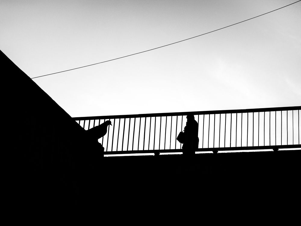 Photo #5782657