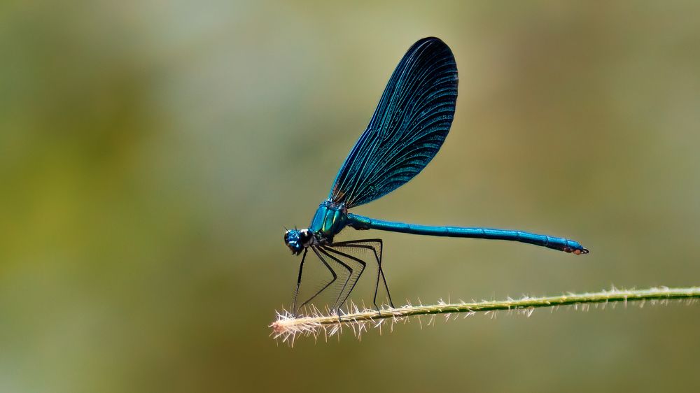 Photograph by Константин Власов