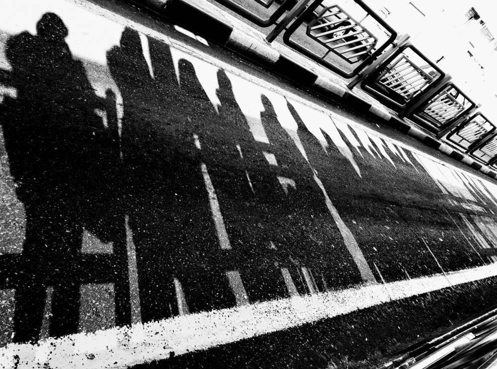 Photograph by Pegah Fazel