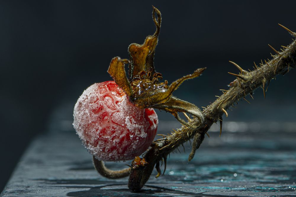 Photograph by Игорь Смирнов