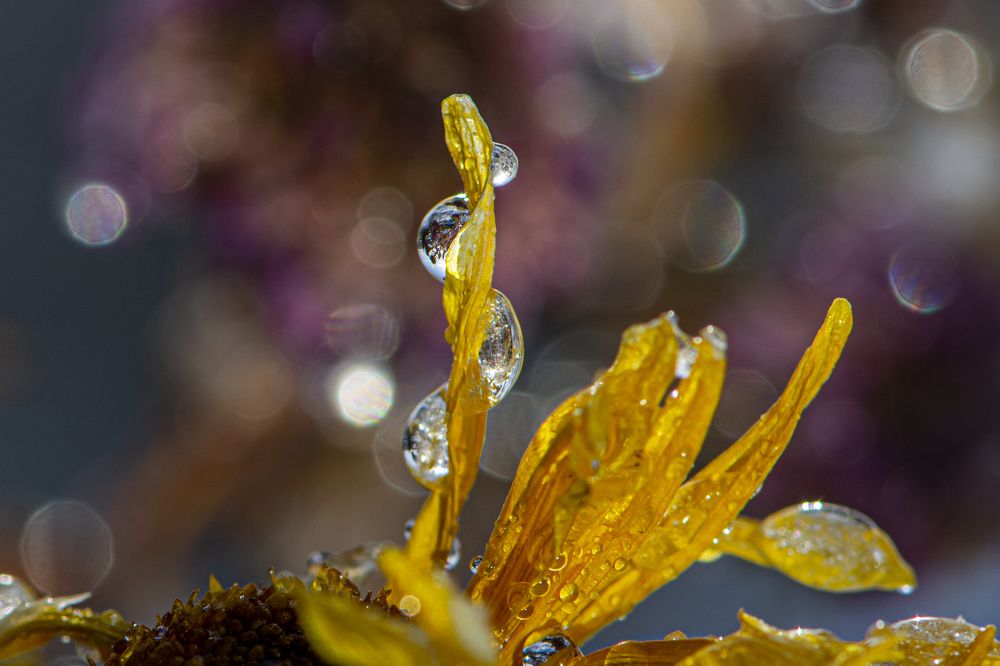 Photograph by Игорь Смирнов