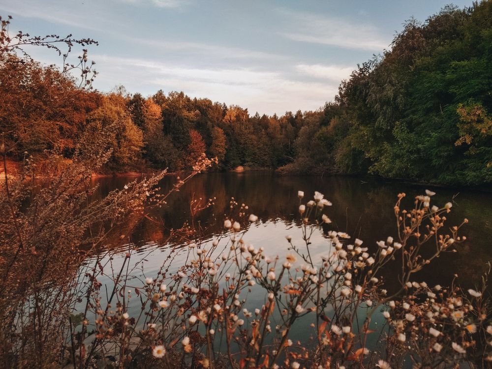 Photograph by Ира Талапчук