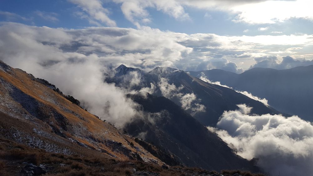 Photo #5782787