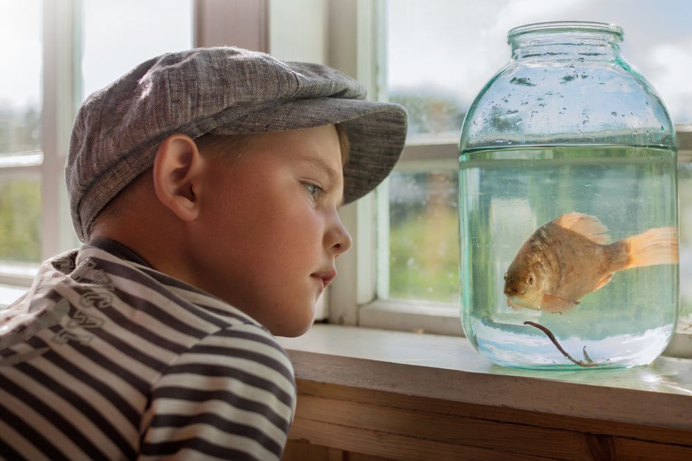 Photograph by Марина Григорьева