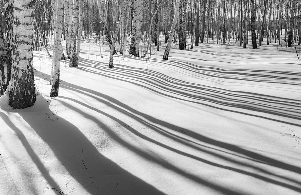 Photograph by Ольга