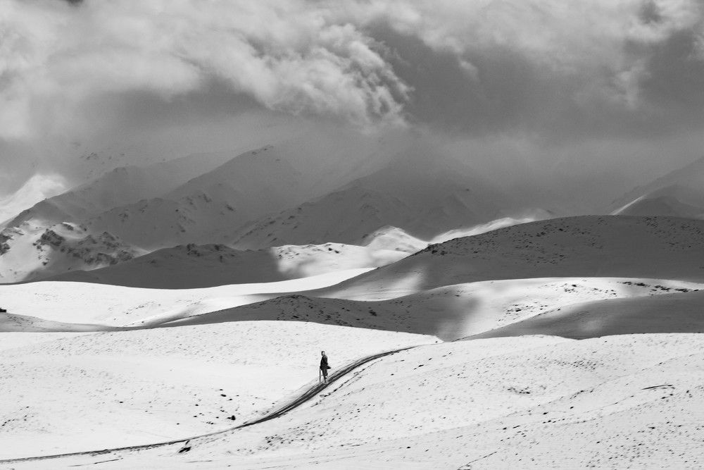 Фотография автора Milad Falahi