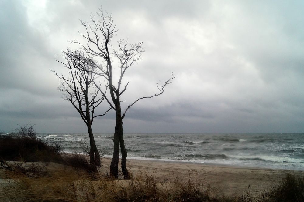 Photograph by Нина Михеева