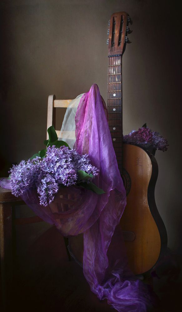 Серенада весны