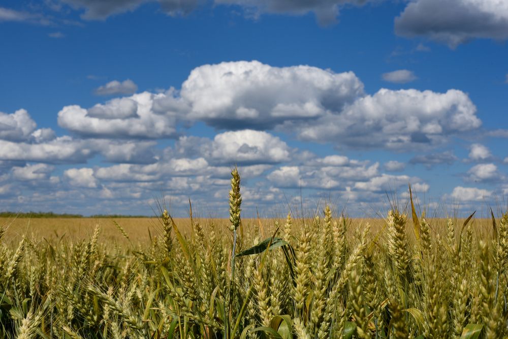 Фотография автора Варвара Сосновская
