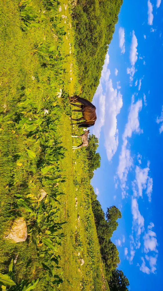 Photograph by Reza Aziz