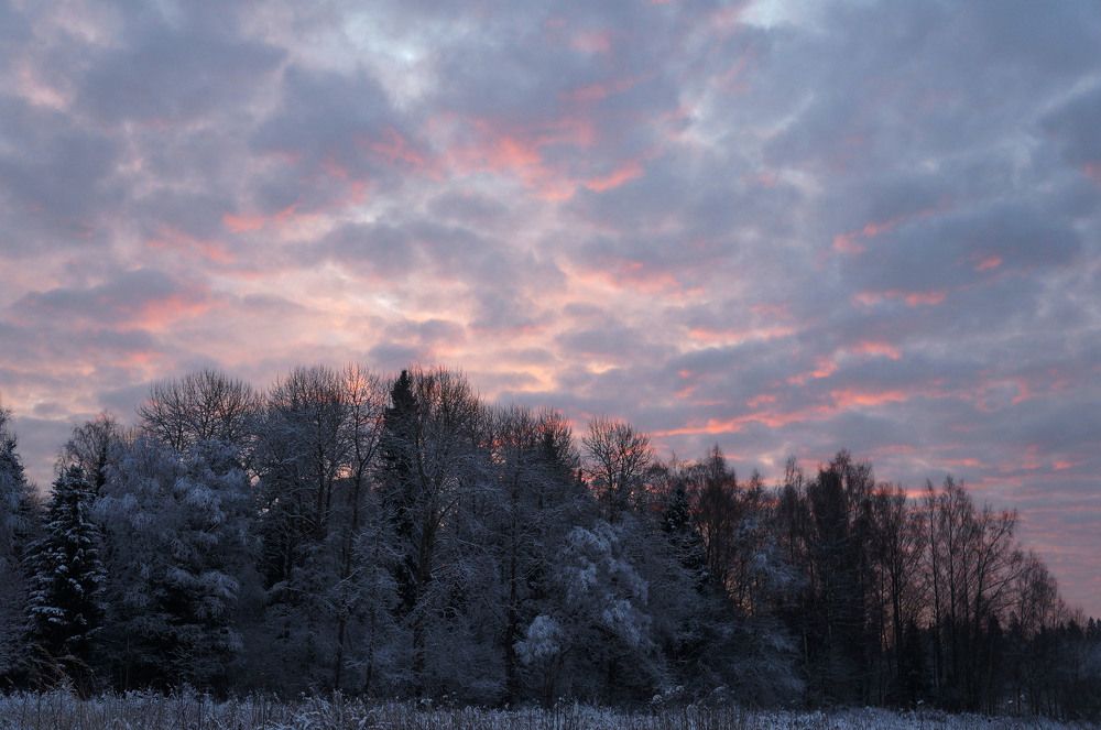 Photograph by Анна Алякина