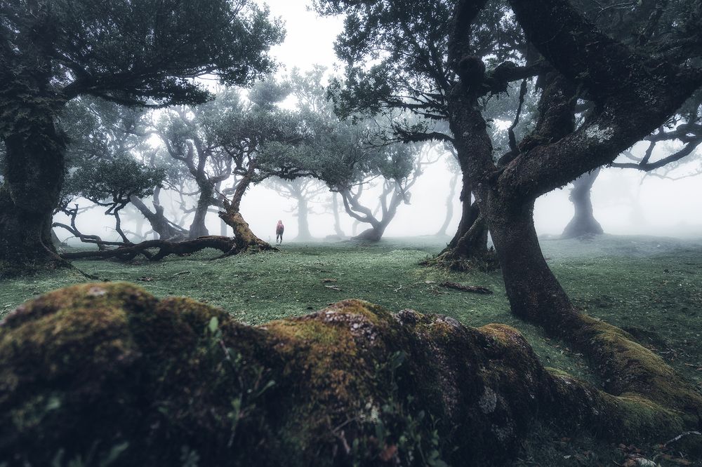 Photograph by Przemyslaw Szewczyk