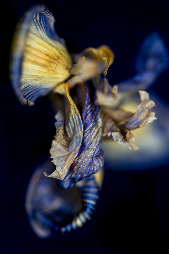 Photograph by Яна Ленчевская