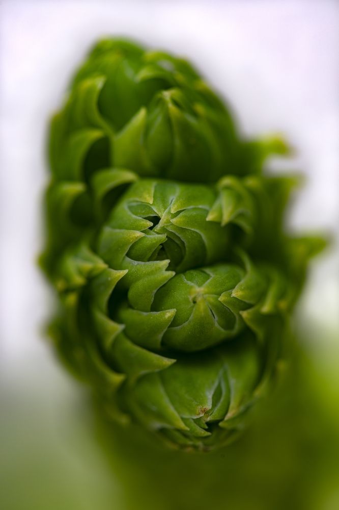 Photograph by Яна Ленчевская