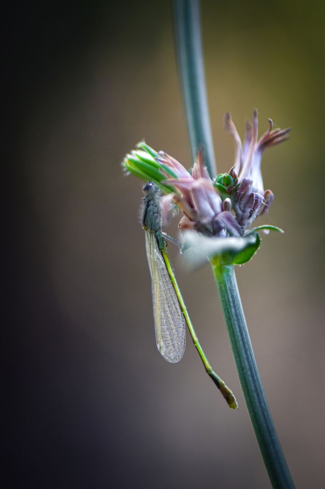 Photograph by Виктория Быканова