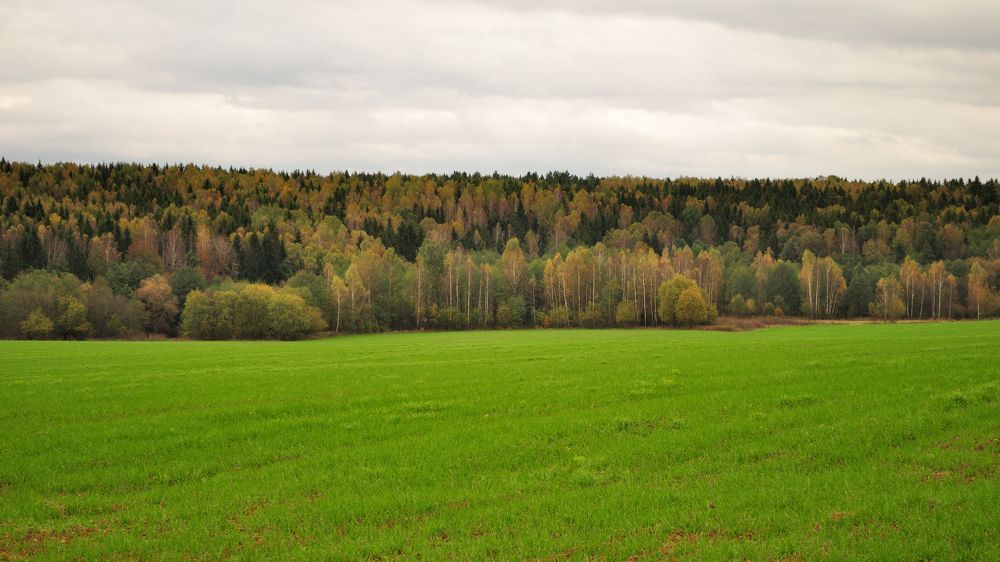 Photograph by Евгений