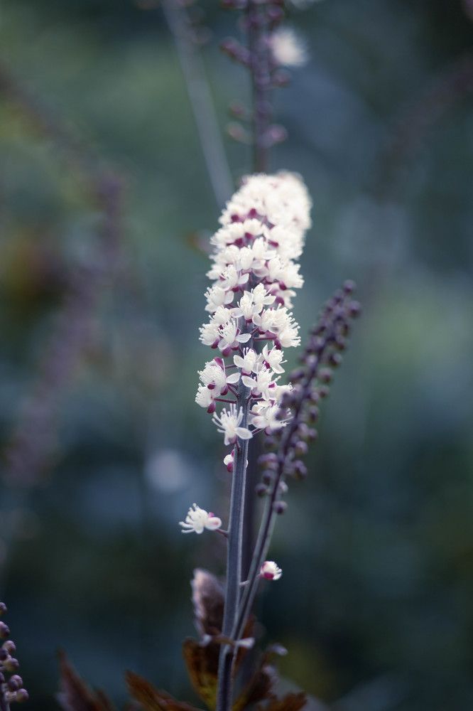 Photograph by Наталья Вавилычева