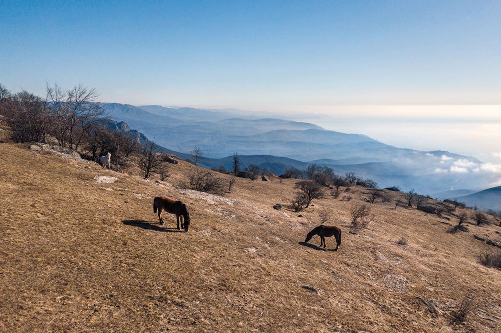 Photograph by Петраков Андрей