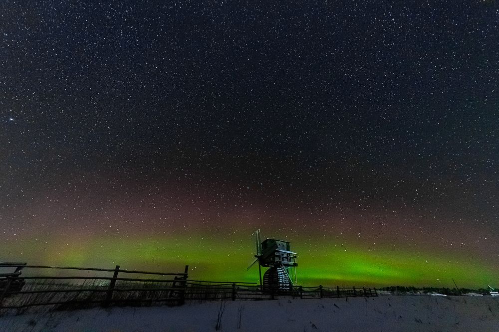 Photograph by Петраков Андрей