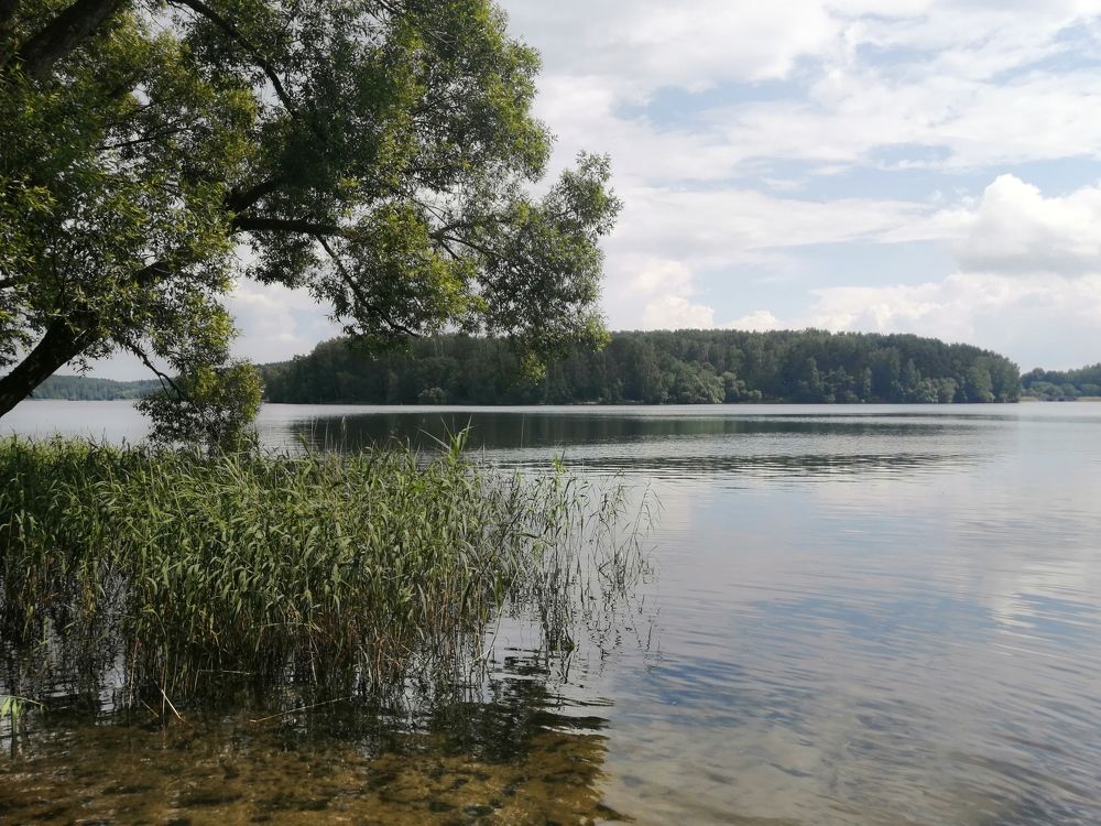 Photograph by Евгений