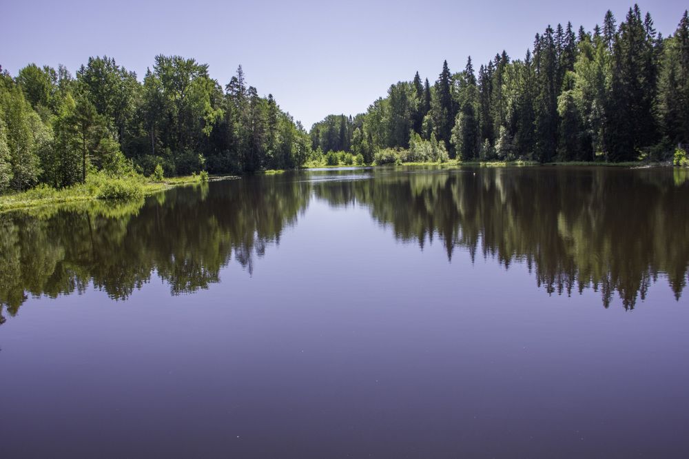 Photograph by Сергей Маркелов