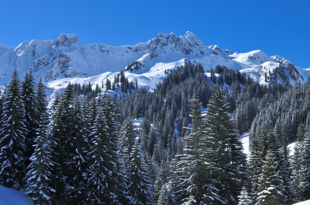 Photograph by Евгений