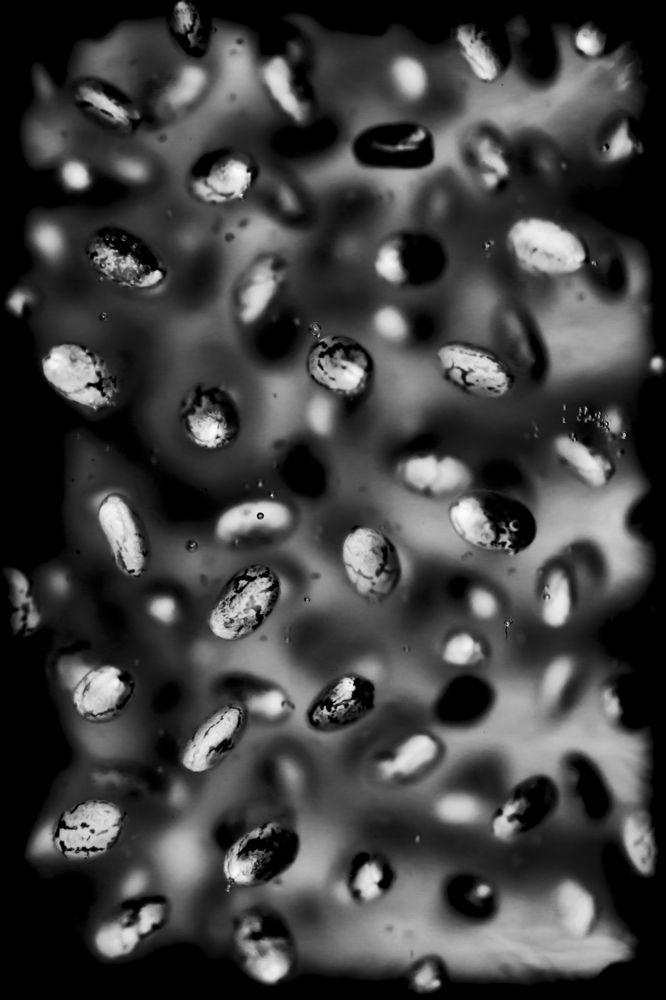 Photograph by Яна Ленчевская