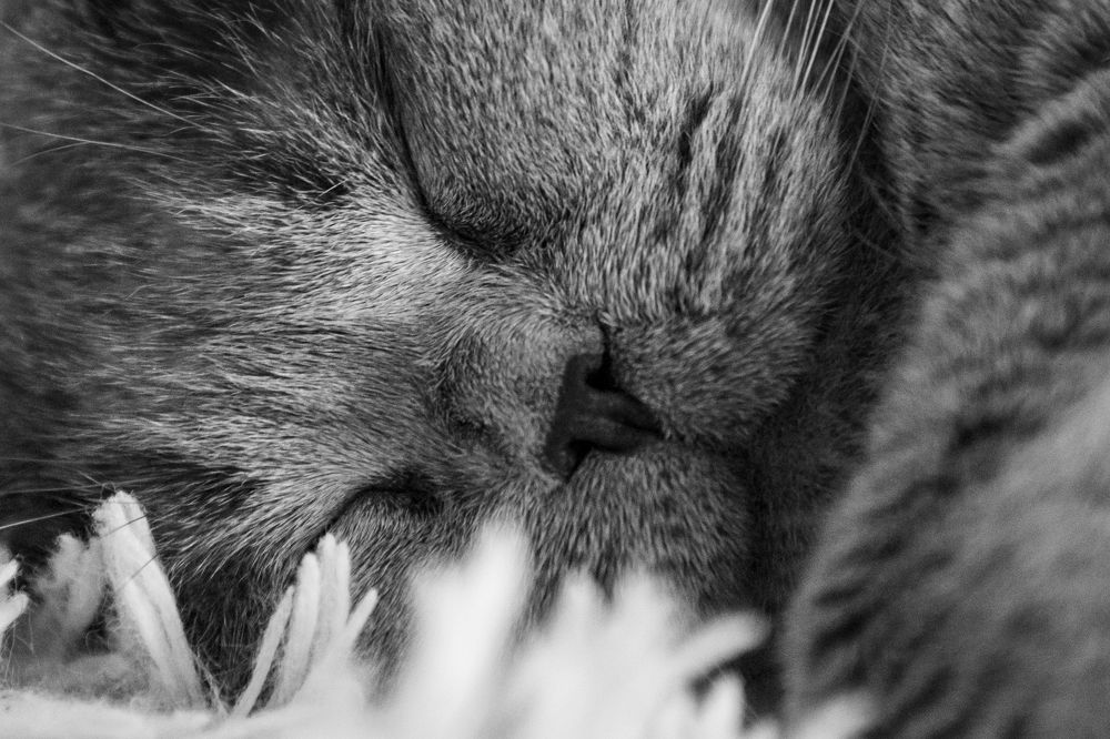 Photograph by Валентин Кольцов