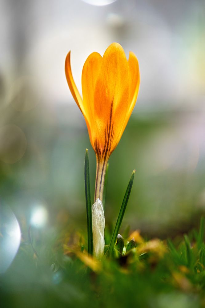 Photograph by Александр Кобелюк