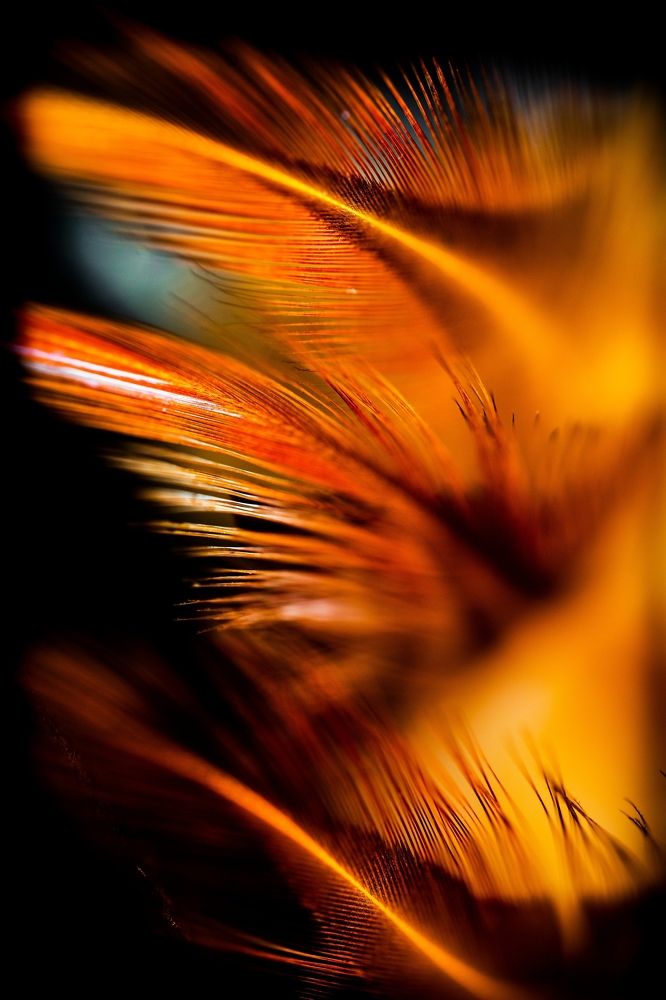 Photograph by Яна Ленчевская