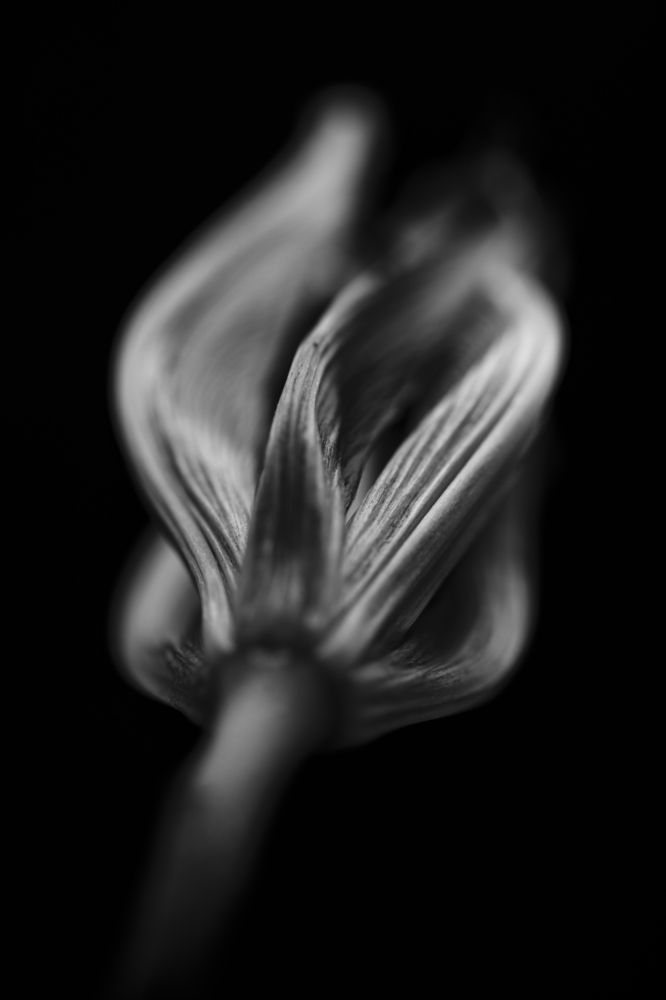 Photograph by Яна Ленчевская