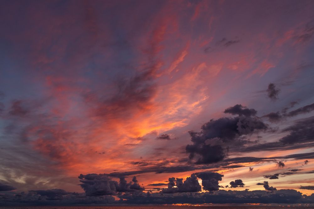 When nature takes a paintbrush