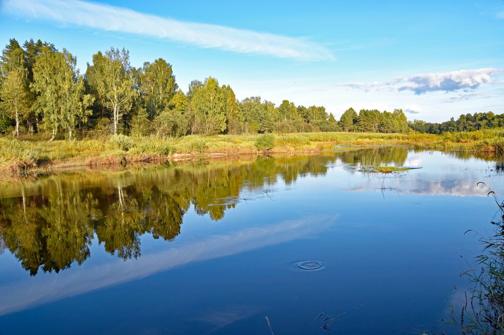 Летний вечер на реке.