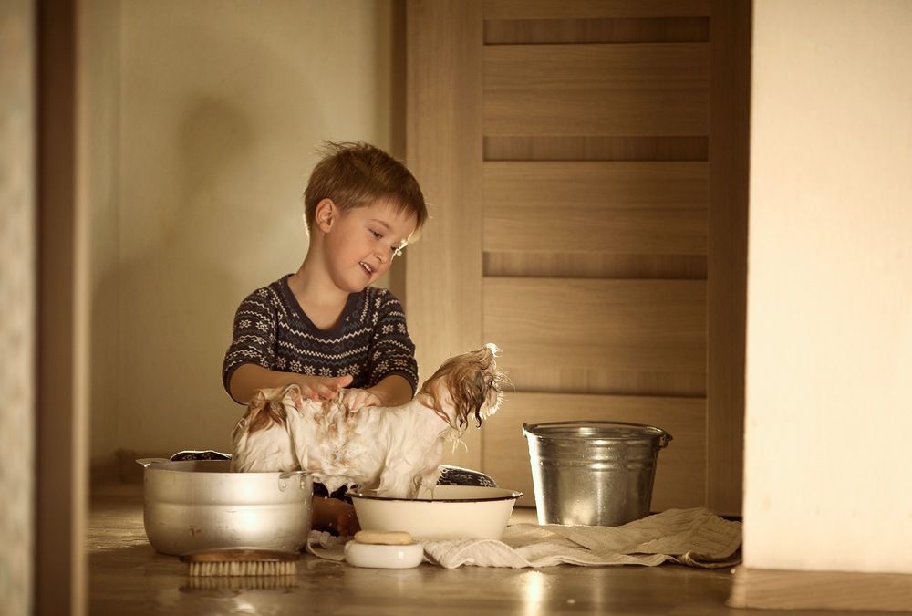 Photograph by Майсюк Юлия