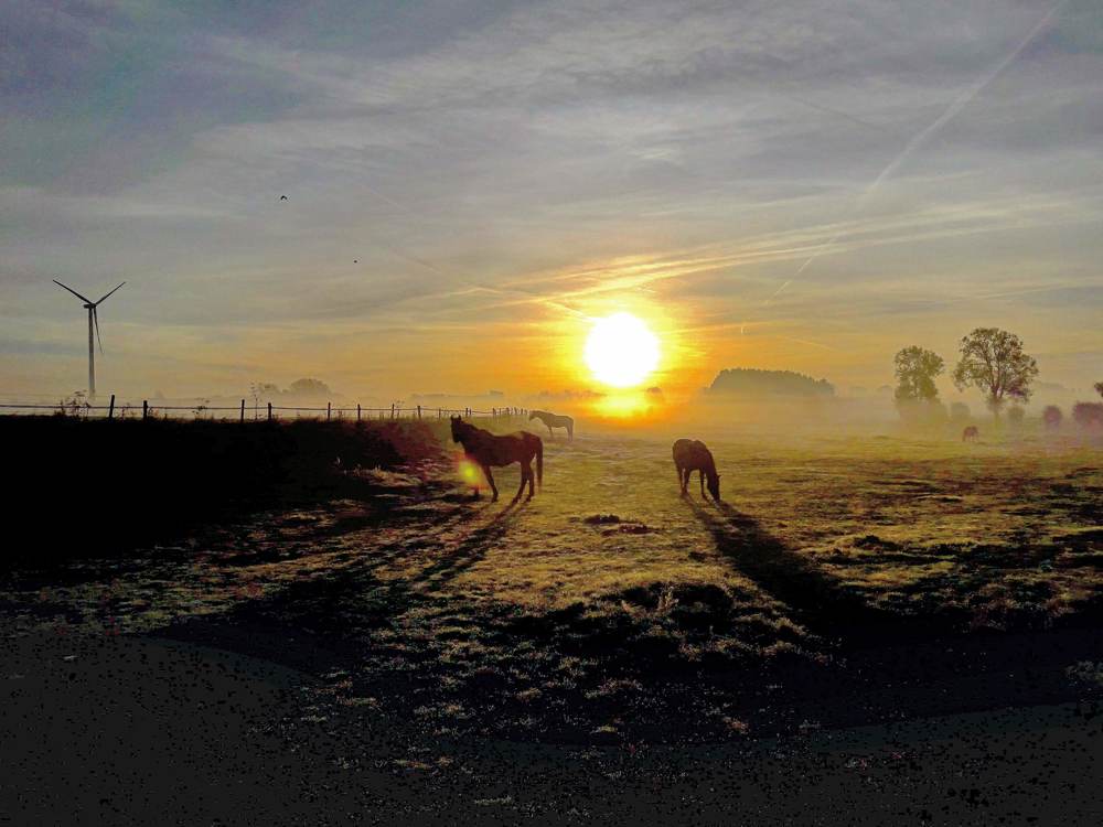 Photograph by François Mastrorilli