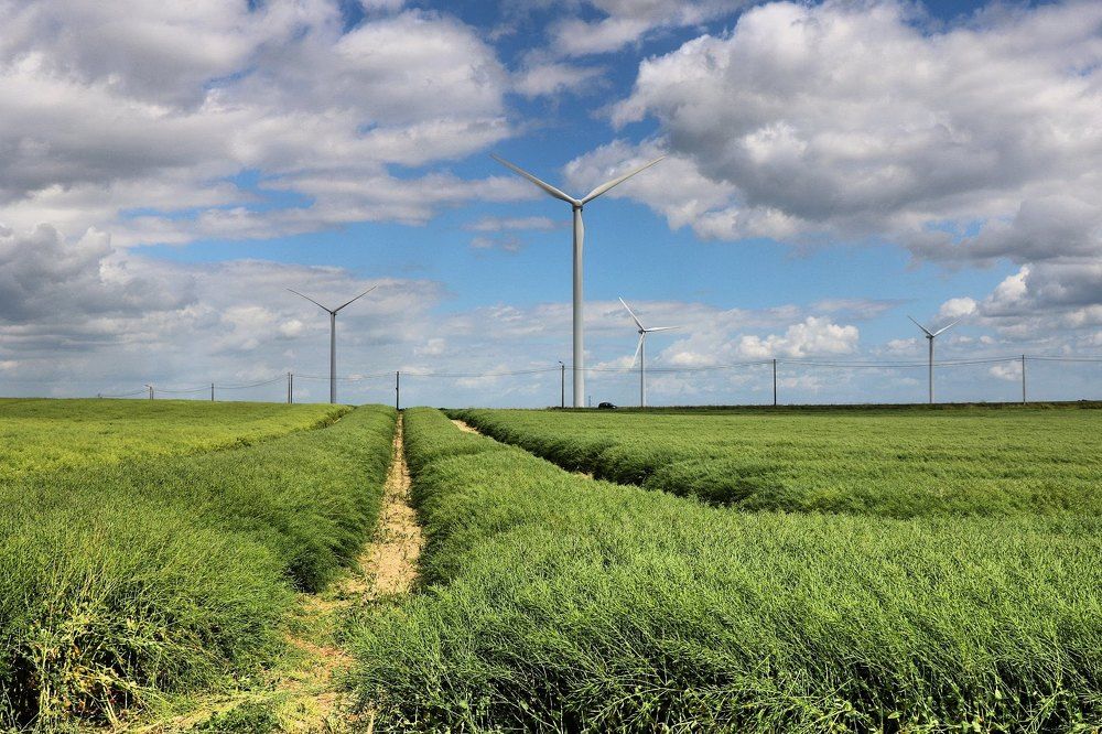 Photograph by François Mastrorilli