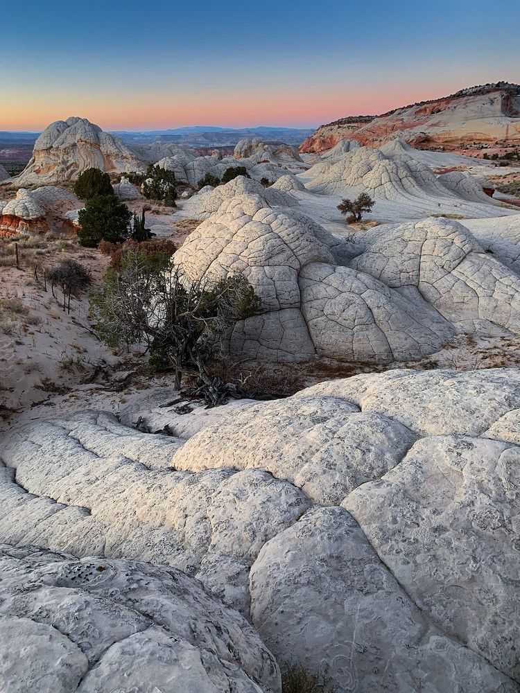 Photograph by Lana Anferow