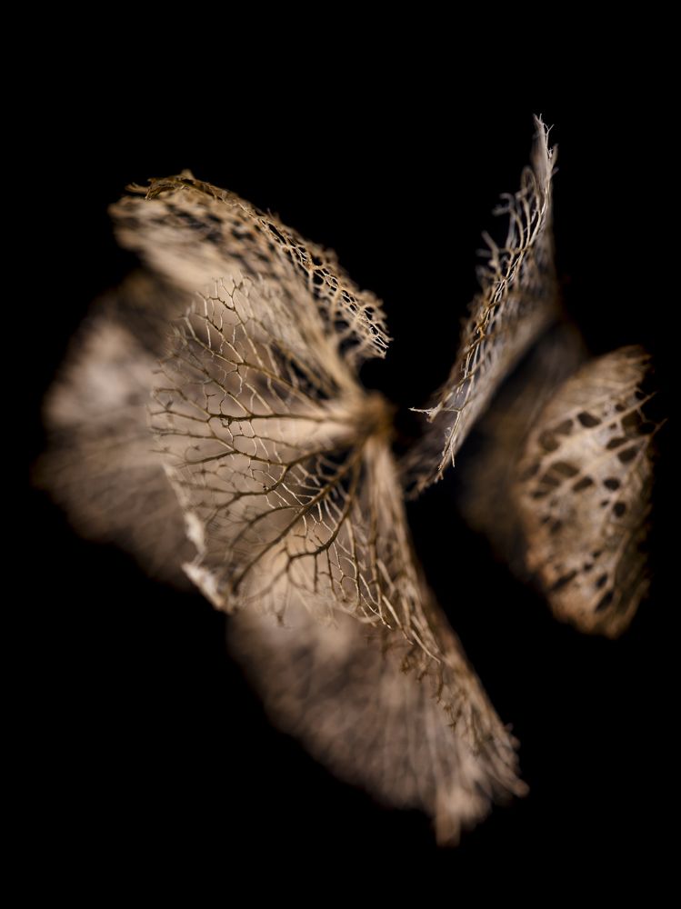 Photograph by Яна Ленчевская