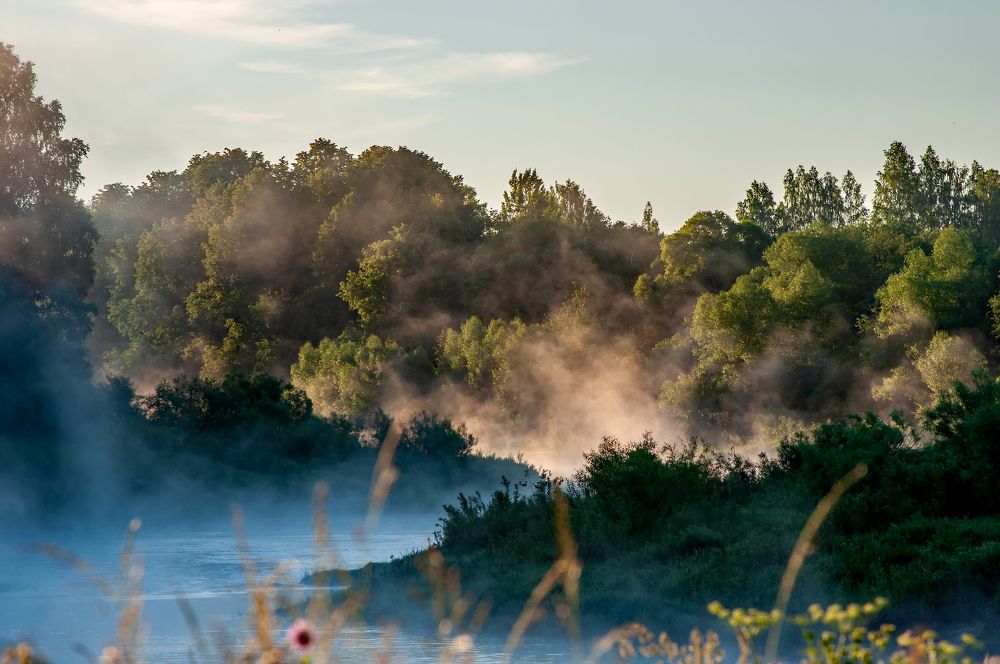 Утро на реке.