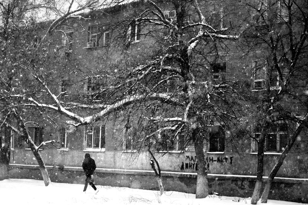 Photograph by Диана Арье