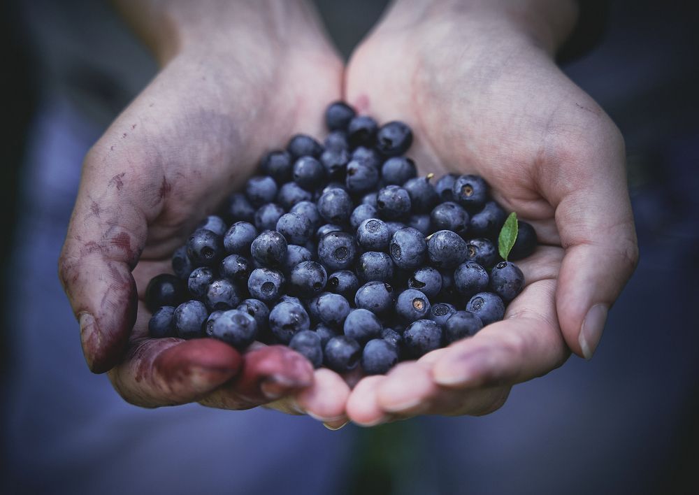 Фотография автора Александр Османов