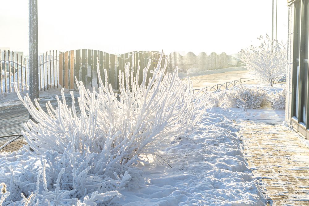 Photograph by Анатолий Павлович