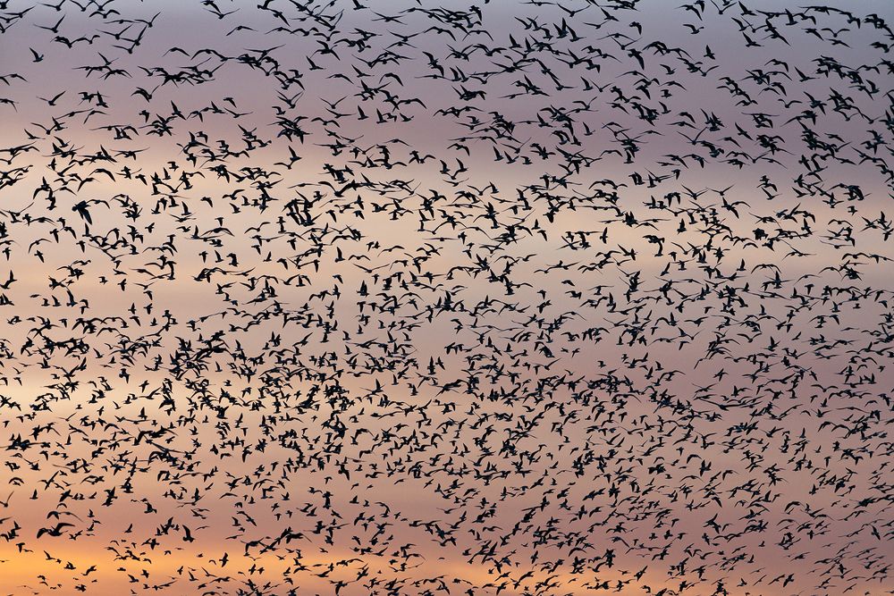 Photograph by Domagoj Sever