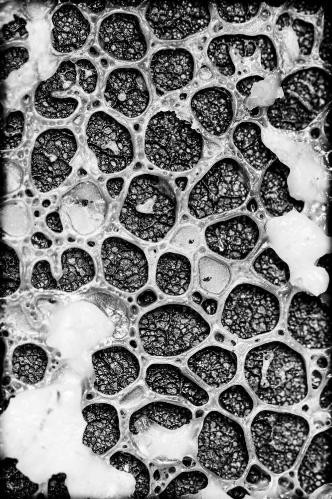 Photograph by Яна Ленчевская