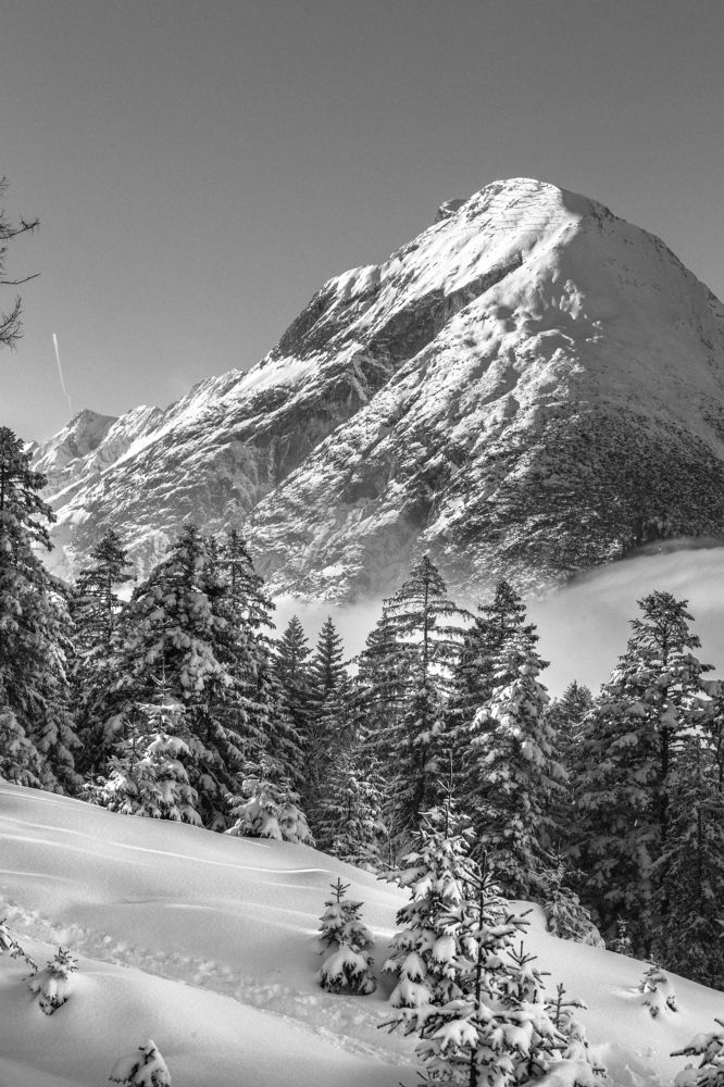 Photograph by Irina Moser