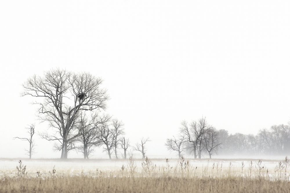 Photograph by Niroshan Mirando